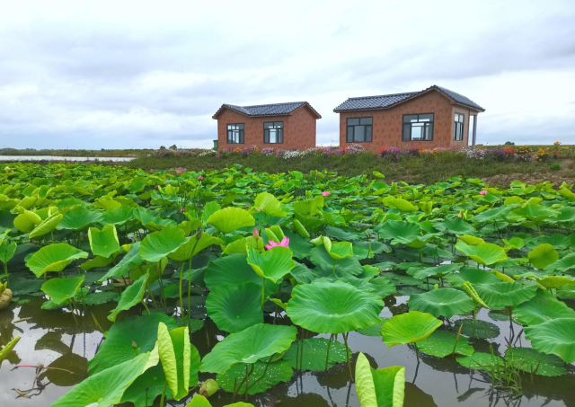 Honeyview_image003.jpg Honeyview_image003.jpg