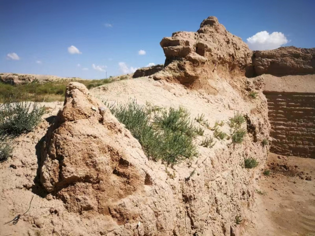 Honeyview_image003.jpg Honeyview_image003.jpg