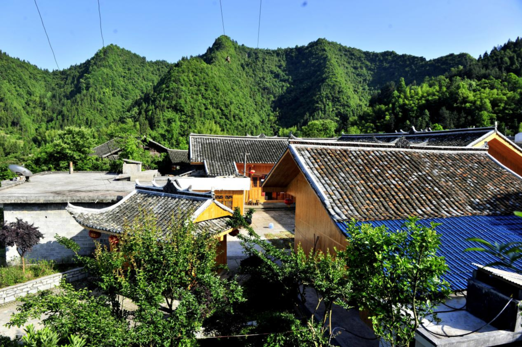 Honeyview_image009.jpg Honeyview_image009.jpg