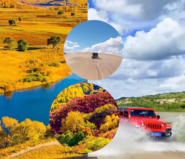 未标题-1.jpg 未标题-1.jpg